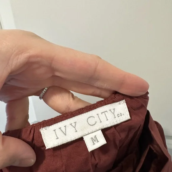 Ivy City Elegant Brown/Red Puff Sleeve Dress - Picture 3 of 4